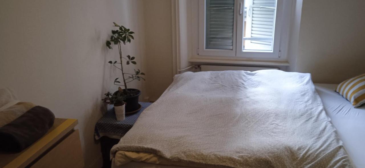 Chambre Double Last Minute Payerne Kültér fotó